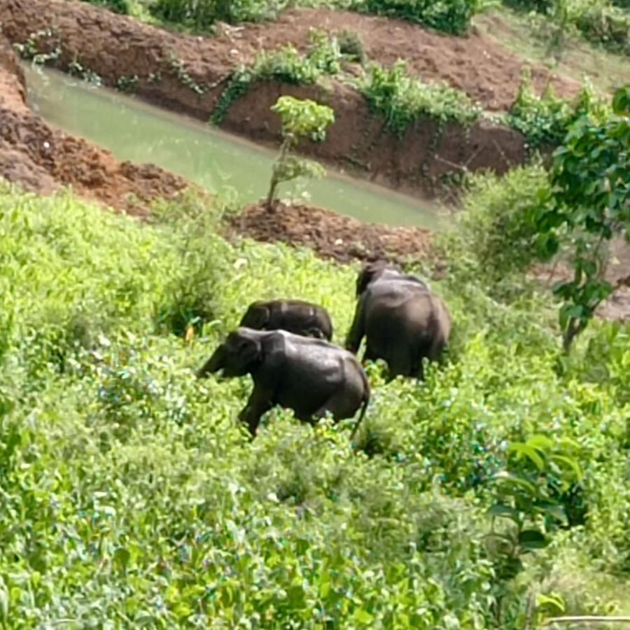 Kuruva Shoreline Wayanad Chegāt Exterior foto