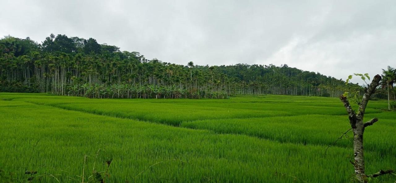 Kuruva Shoreline Wayanad Chegāt Exterior foto