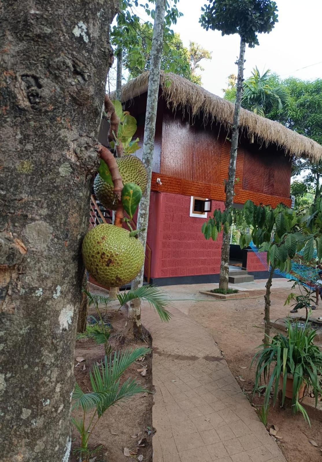 Kuruva Shoreline Wayanad Chegāt Exterior foto