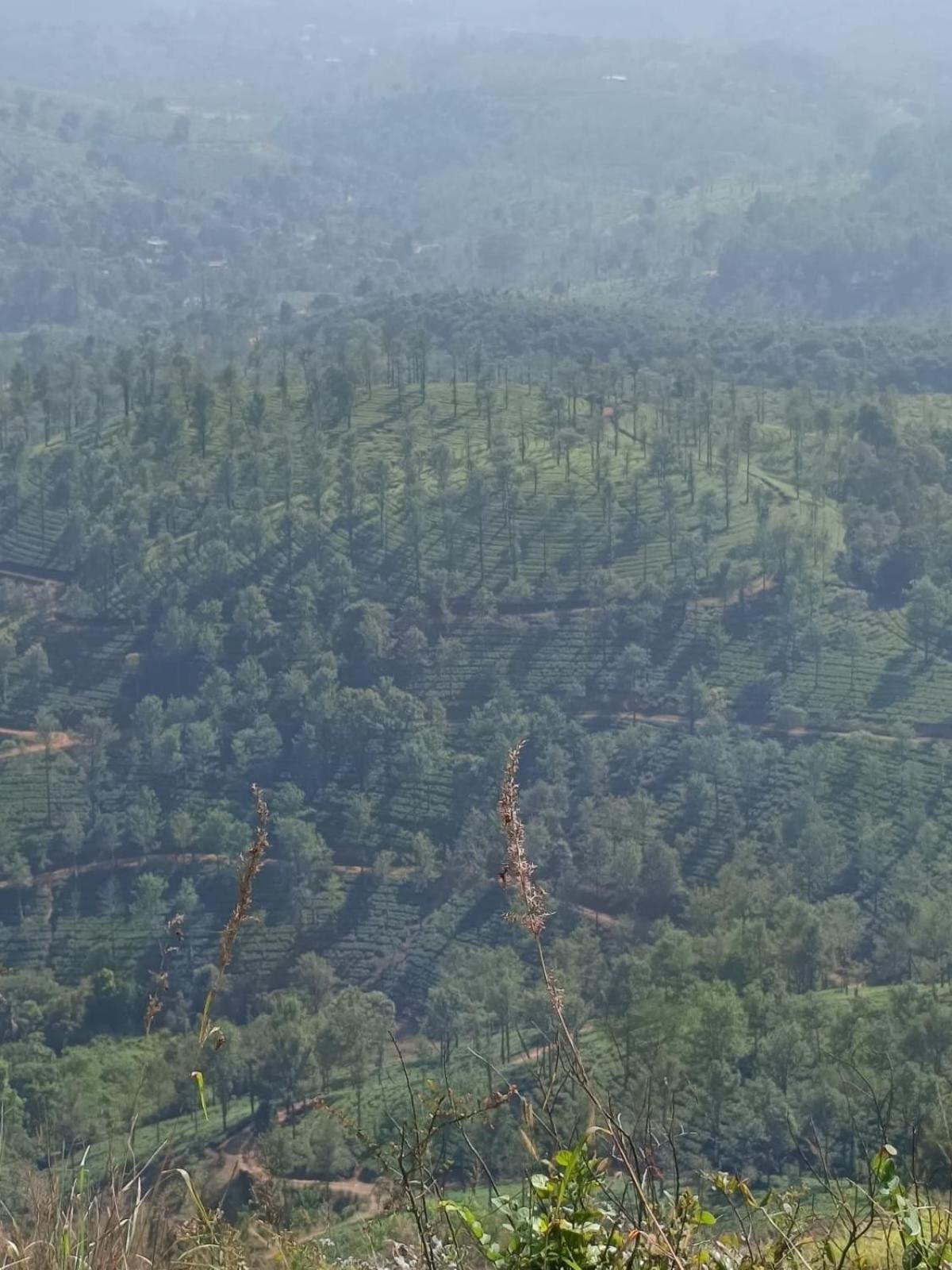 Kuruva Shoreline Wayanad Chegāt Exterior foto